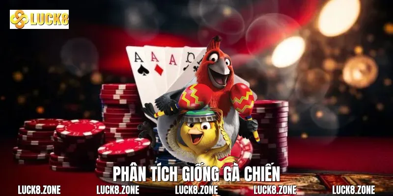 Phân tích giống gà chiến